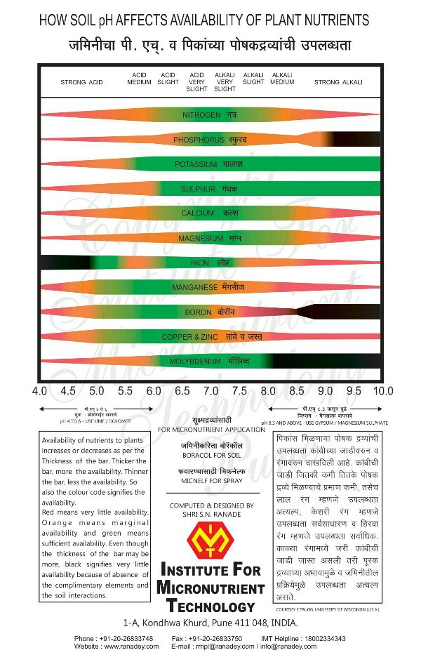 soilphmeterchartplantgrowth National Views