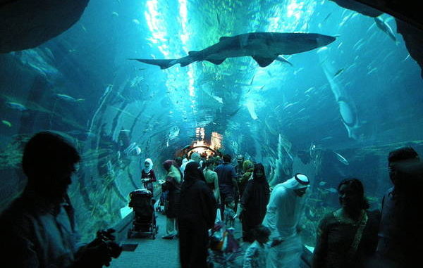 Dubai_Aquarium