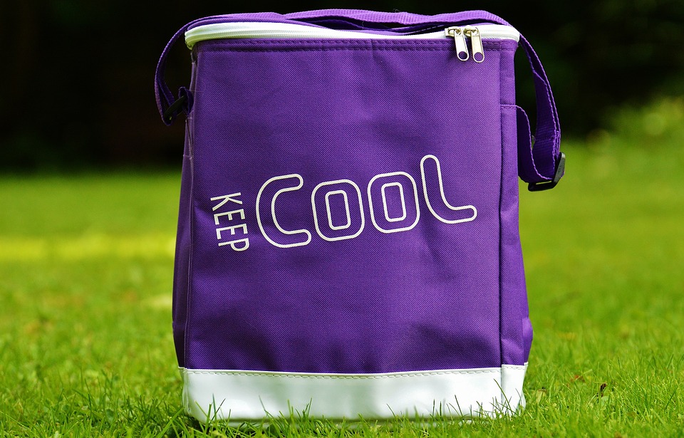 6-things-to-keep-in-mind-when-shopping-for-modern-cooler-bags