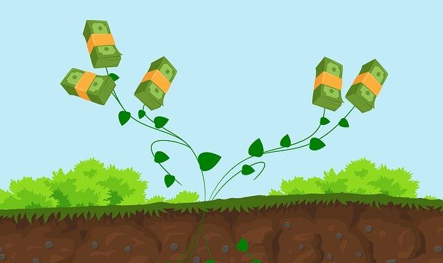 plant-4242667_640 Mahindra Manulife Arbitrage Yojana