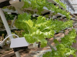 agricultural innovation