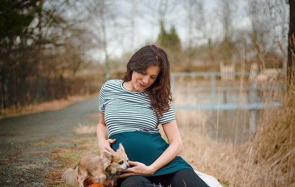 pregnant-5082027_640 (1)