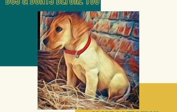 dos before you adopt a pet puppy - dos and don'ts