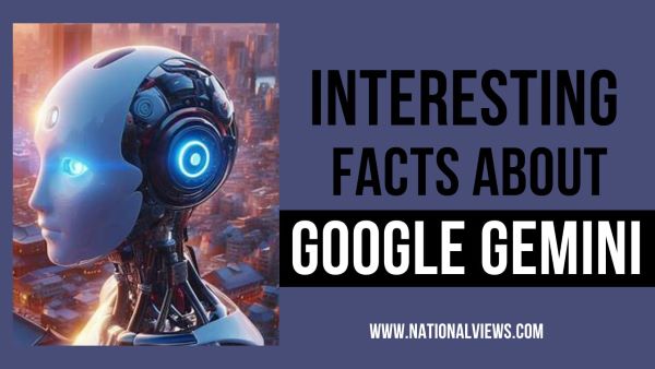 Interesting Facts about Google Gemini