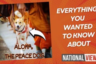 The Peace dog Aloka biography