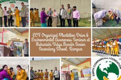 at Maharishi Vidya Mandir Senior Secondary School, Rampur