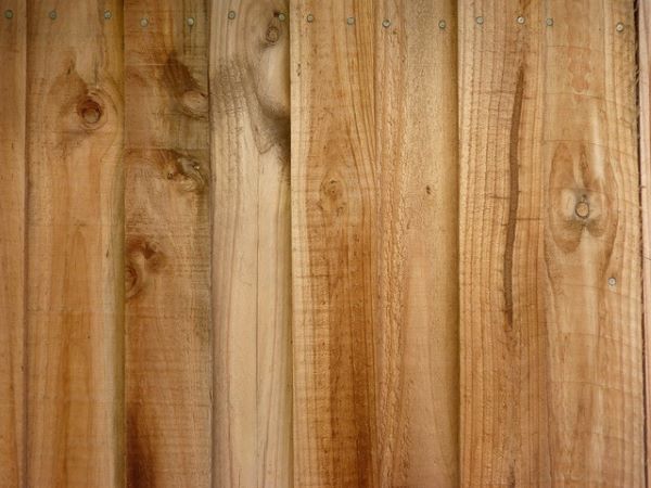 cedar wood fence